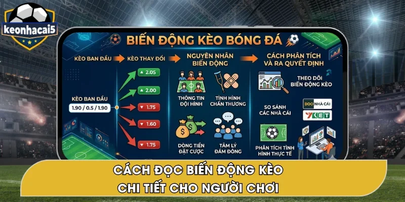 Cách Đọc Biến Động Kèo – Chia Sẻ Chi Tiết Tại Keo Nha Cai 5