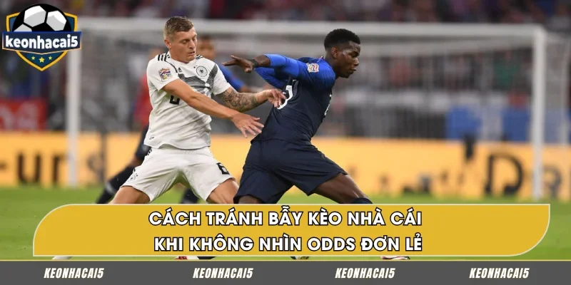 Không nhìn Odds đơn lẻ - Cách tránh bẫy kèo nhà cái
