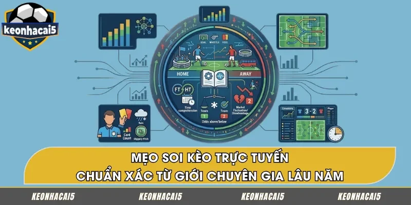 Bí quyết soi kèo trực tuyến hiệu quả từ cao thủ cá cược lâu năm
