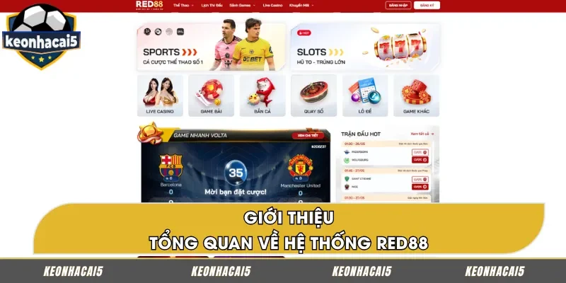Tổng quan về sân chơi cá cược kèo nhà cái