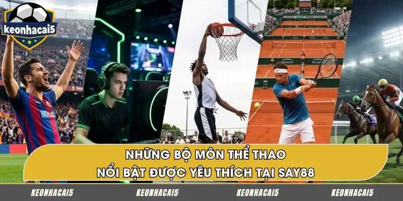 Các bộ môn thể thao nổi bật thu hút tại SAY88